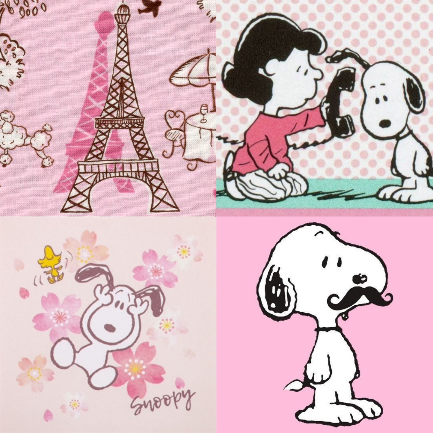 Snoopy in Paris set