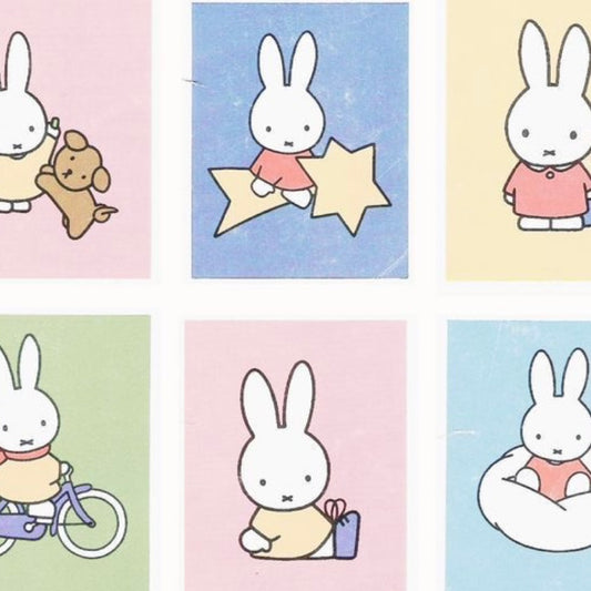 Pastel miffy set