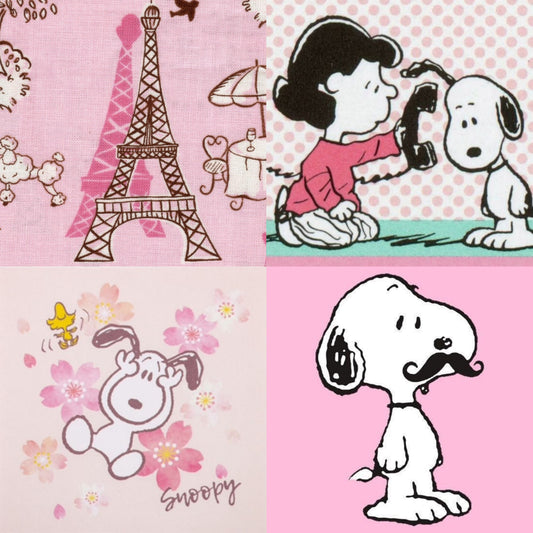 Snoopy in Paris set